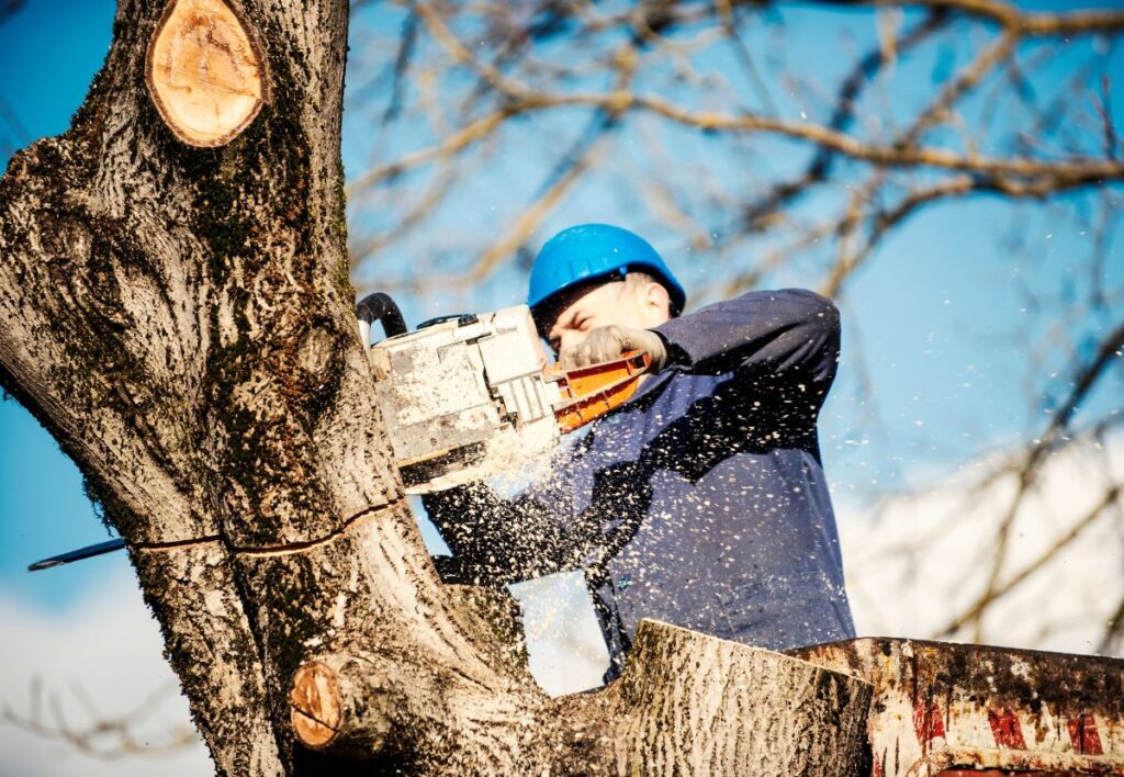Owasso Landscaping - Oklahoma Facility Services | Commercial Landscaping | Tulsa, OK Landscaping in Owasso